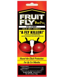 Fruit Fly Bar Pro, Case Of 10